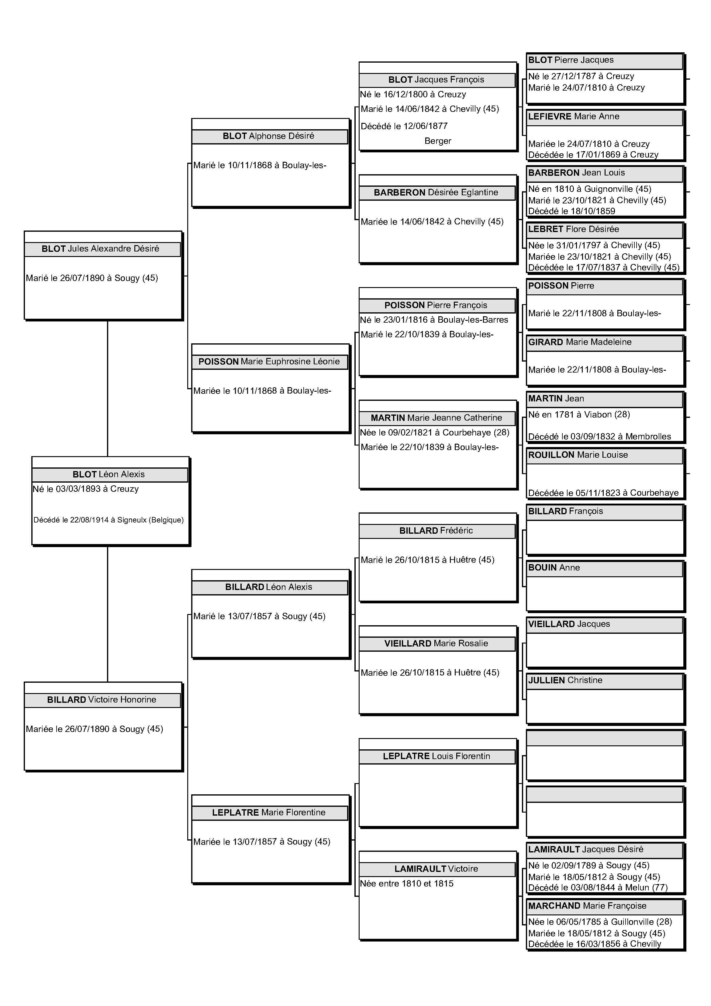blot-leon-arbre-5-generations