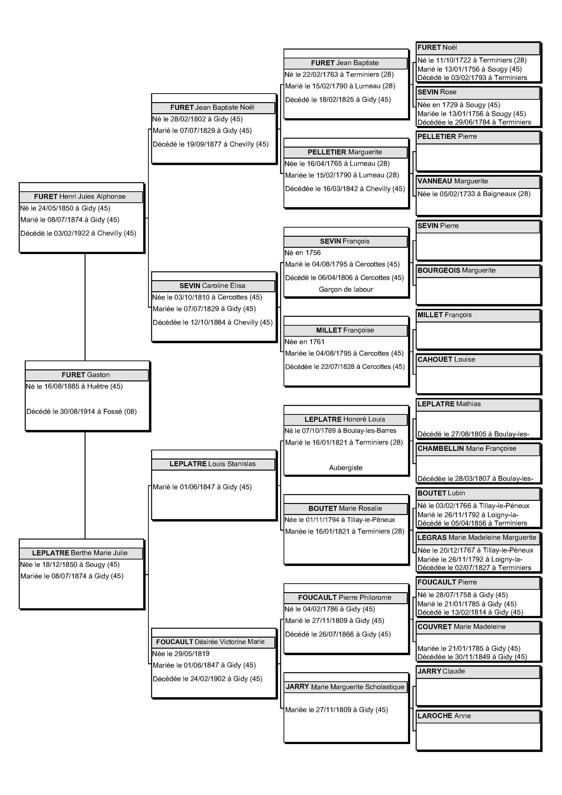 furet-gaston-arbre-5-generations