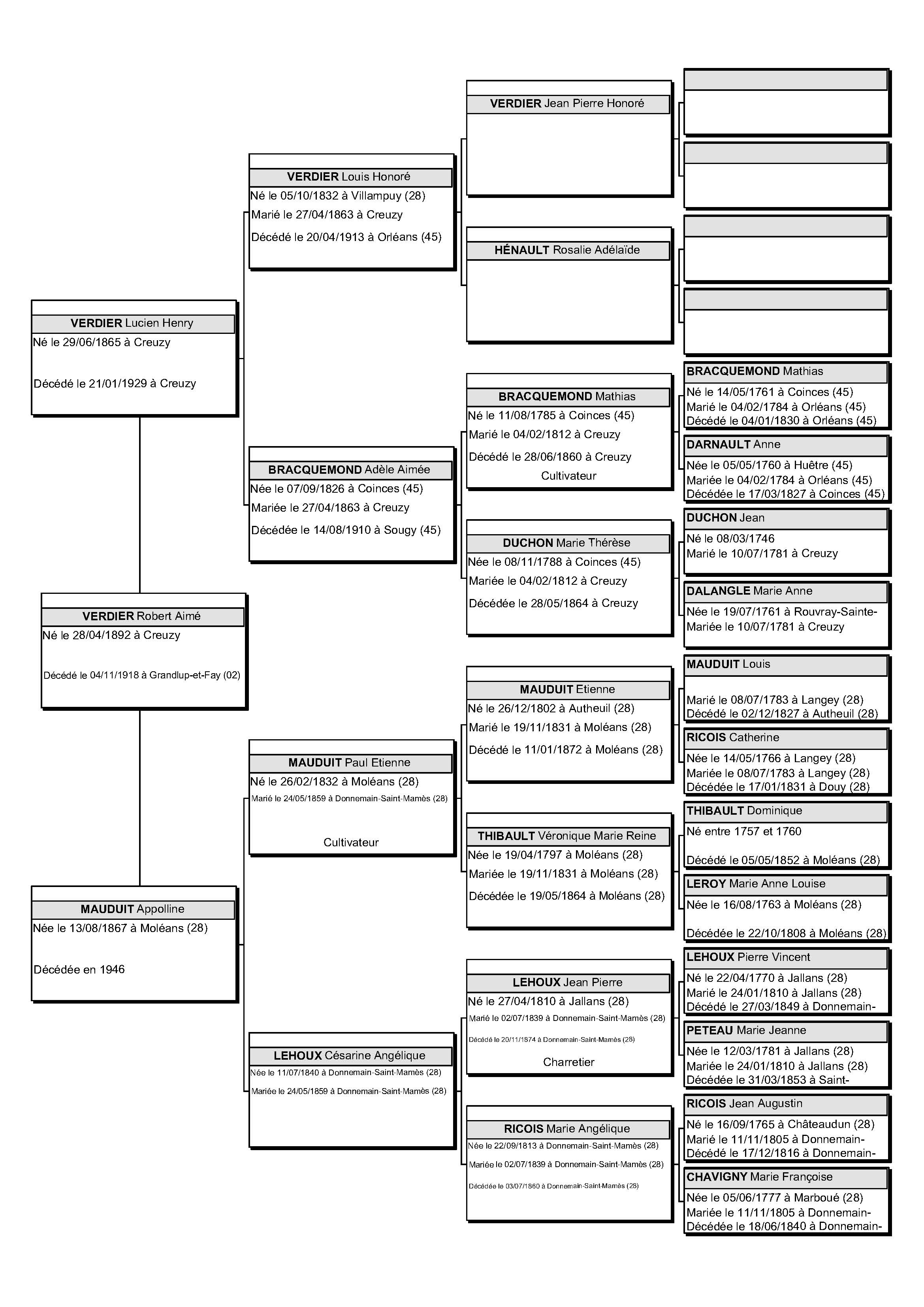 verdier-robert-arbre-5-generations